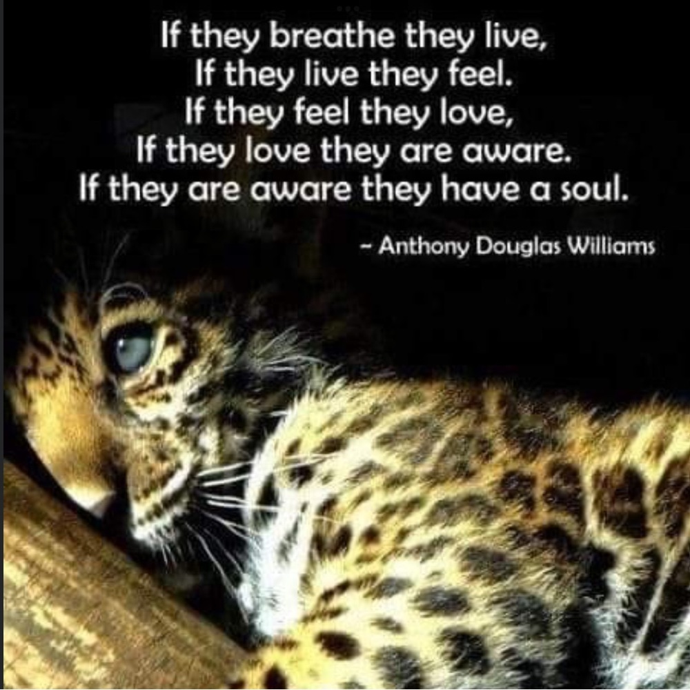 Kindness🌿